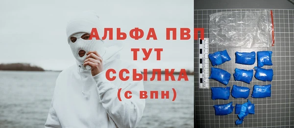spice Сясьстрой