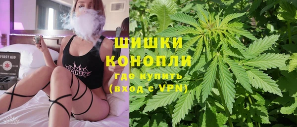 spice Сясьстрой