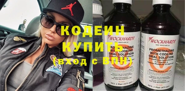 сатива Дубна