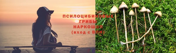 не бодяженный Дубовка